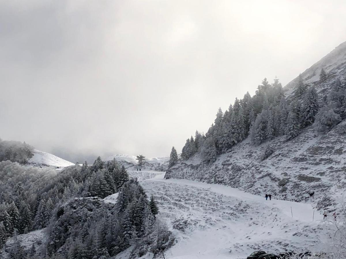 Chateau Porthos Tranquillite Des Pyrenees Lanne-en-Baretous ภายนอก รูปภาพ