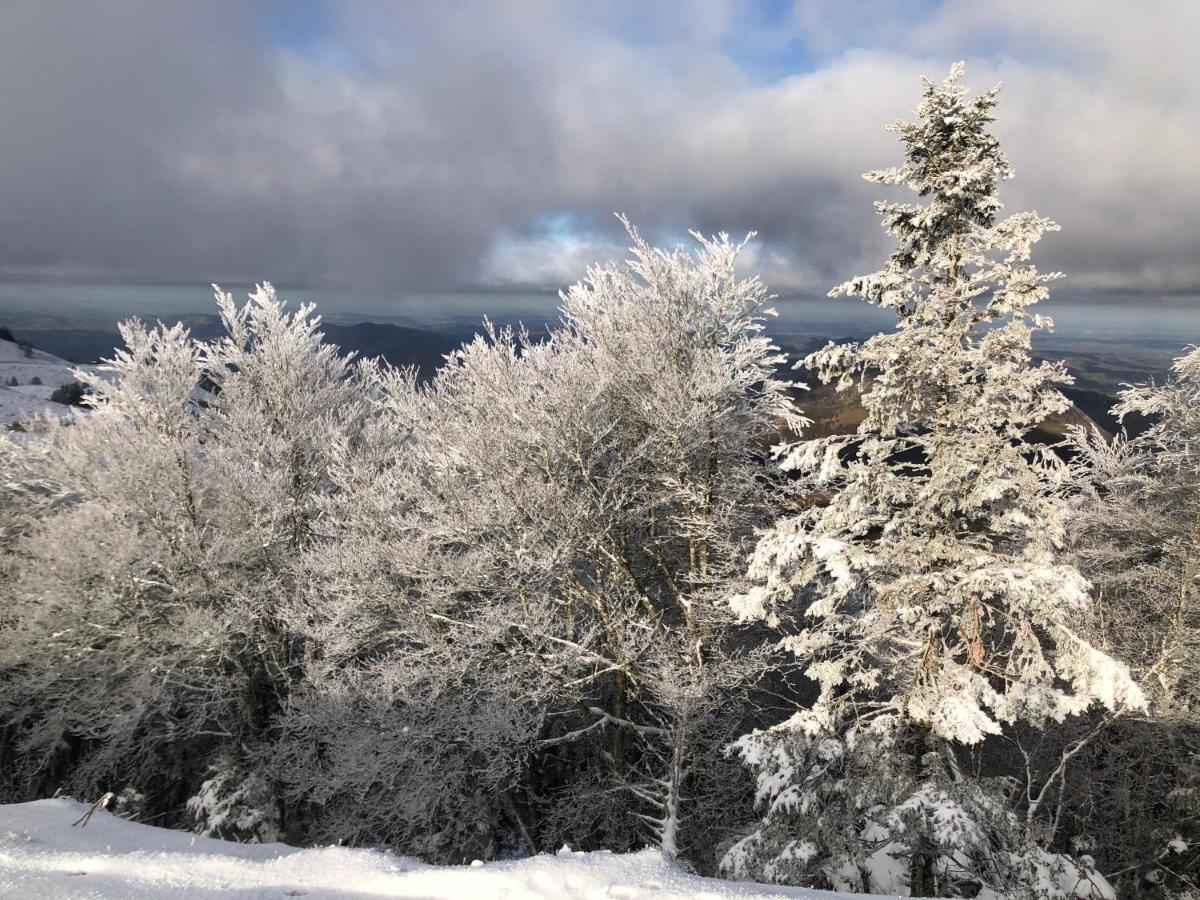 Chateau Porthos Tranquillite Des Pyrenees Lanne-en-Baretous ภายนอก รูปภาพ