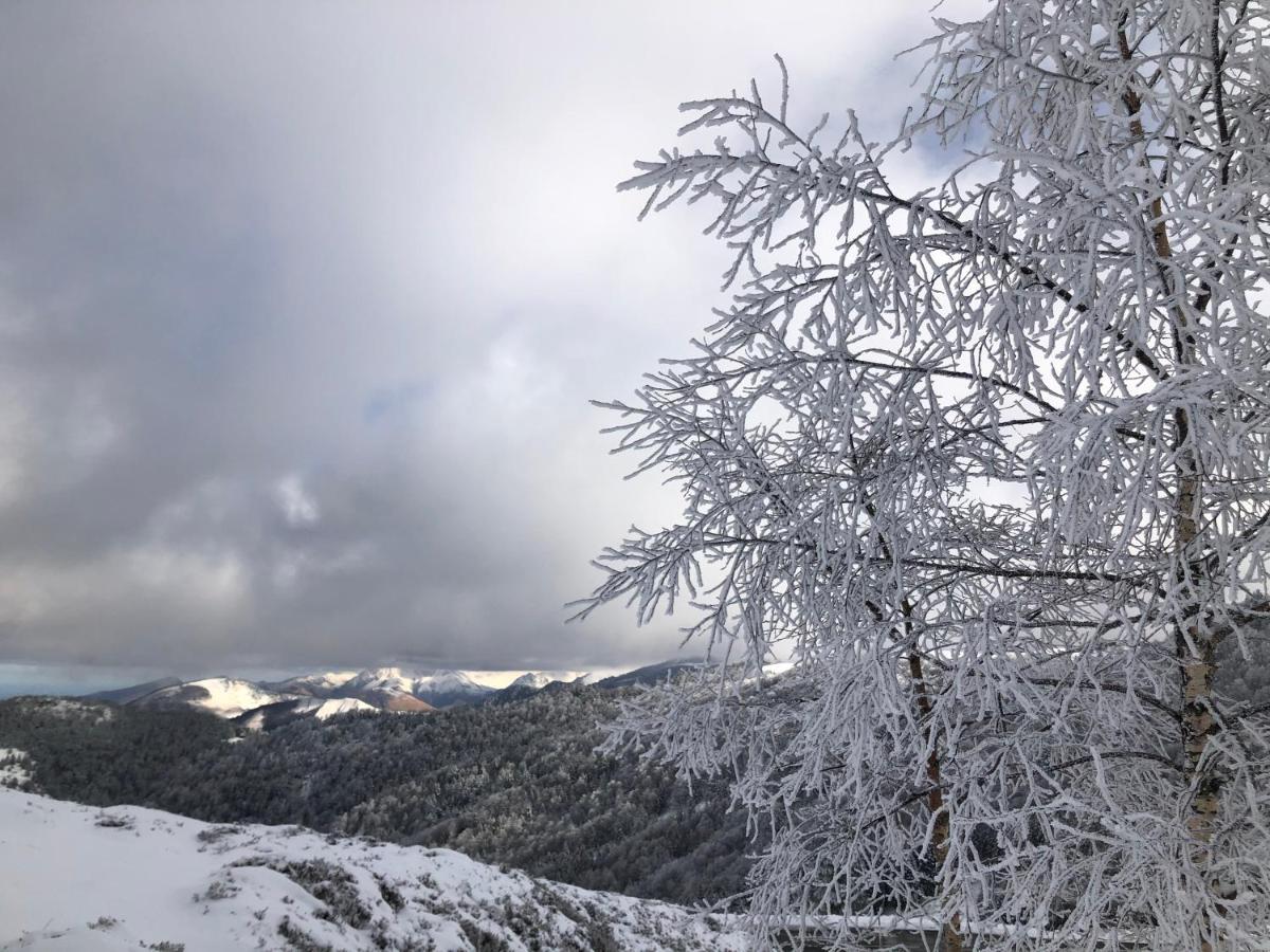 Chateau Porthos Tranquillite Des Pyrenees Lanne-en-Baretous ภายนอก รูปภาพ