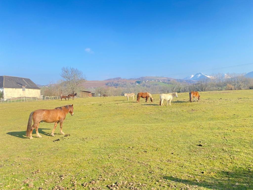 Chateau Porthos Tranquillite Des Pyrenees Lanne-en-Baretous ภายนอก รูปภาพ